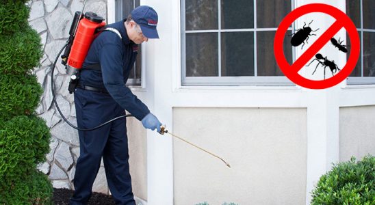 Bağlar Karınca İlaçlama böcek ilaçlama ve haşere kontrolü — ilaclama-tr.com